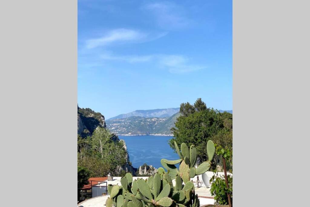Casa Masgaba Villa Capri Eksteriør billede